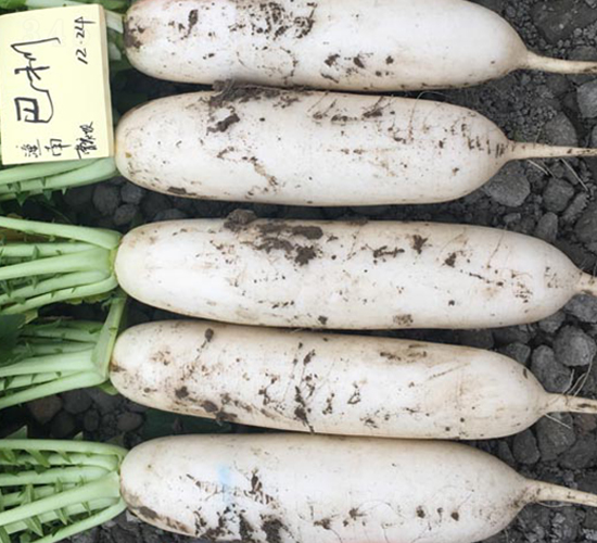 ����-�}���N��-�����r(n��ng)