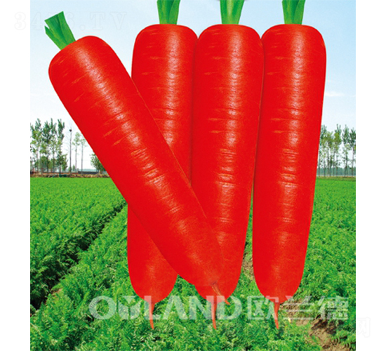 �|�(y��ng)����-���}���N��-�W�m��