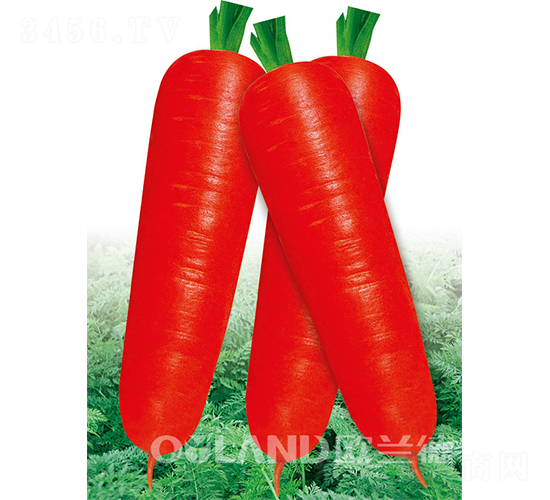 �|�7��-���}���N��-�W�m��