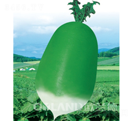 ����(j��)������-�}���N��-�W�m��