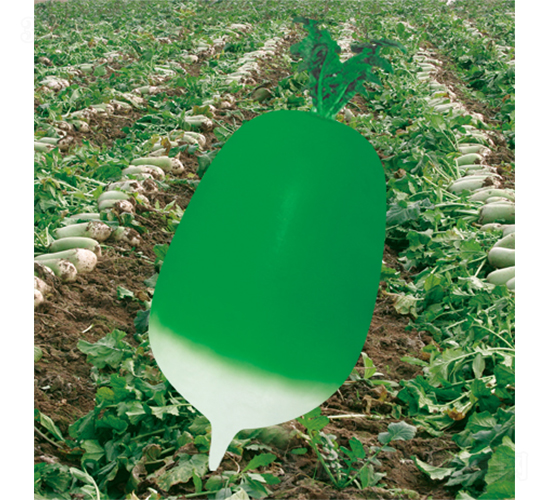 �����G����-�}���N��-�W�m��