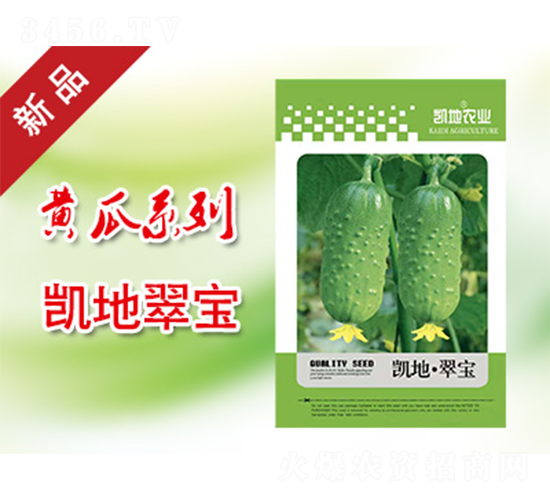 �P�ش䌚-�S�ϷN��-�P���r�I