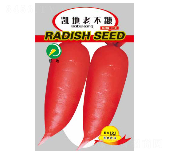 �P���ϲ���-�}���N��-�P���r�I