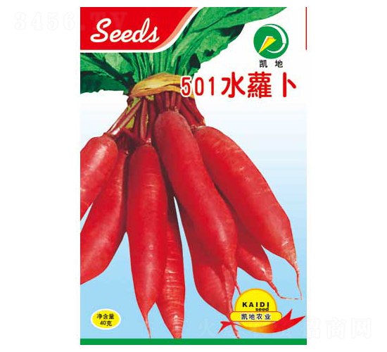 501ˮ�}��-�}���N��-�P���r�I