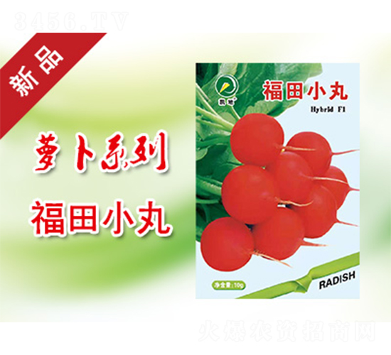 ����С��-�}���N��-�P���r(n��ng)�I(y��)