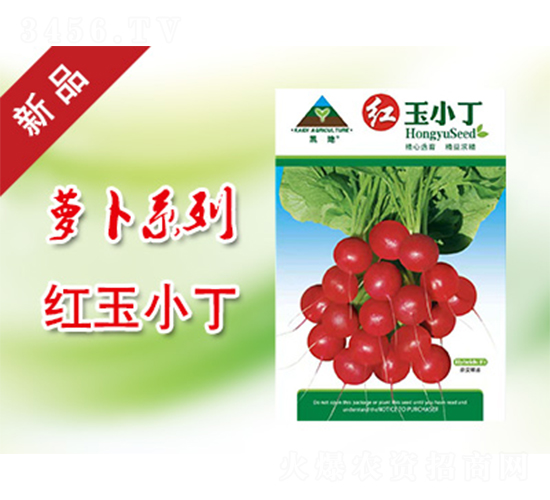 �t��С��-�}���N��-�P���r�I