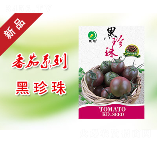 ������-���ѷN��-�P���r�I