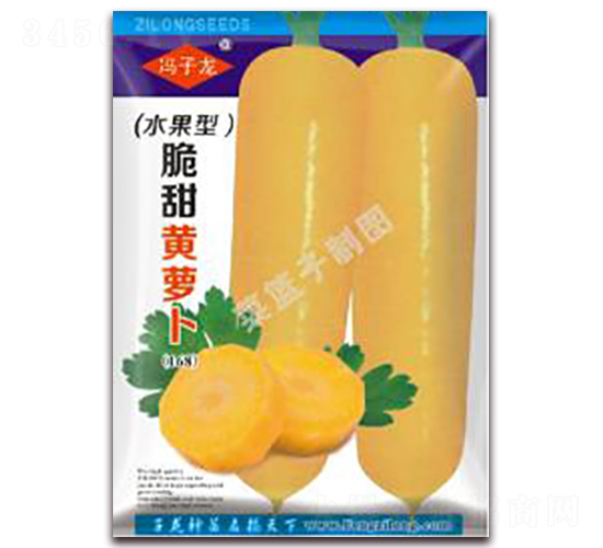 �����S�}��-�}���N��-�����N�I(y��)