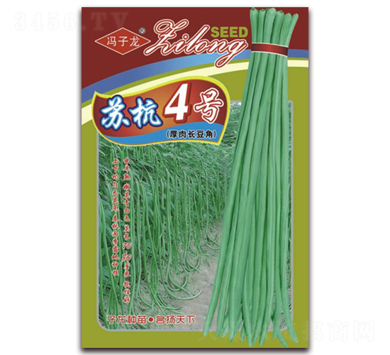 �K��4̖�����L����-���ǷN��-�����N�I