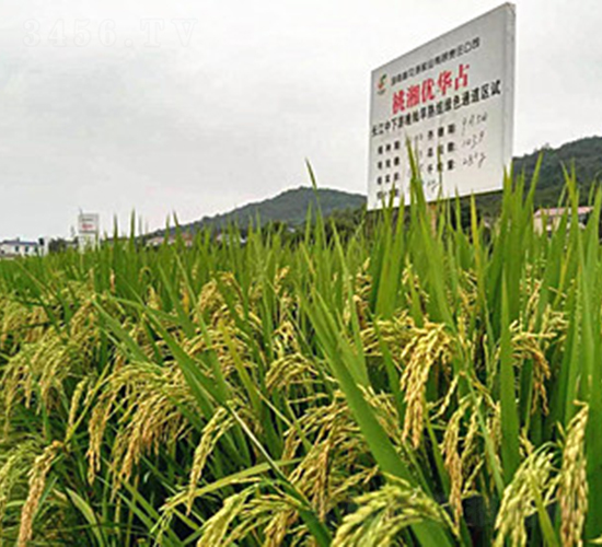 ���惞�Aռ-ˮ���N��-�һ�Դ