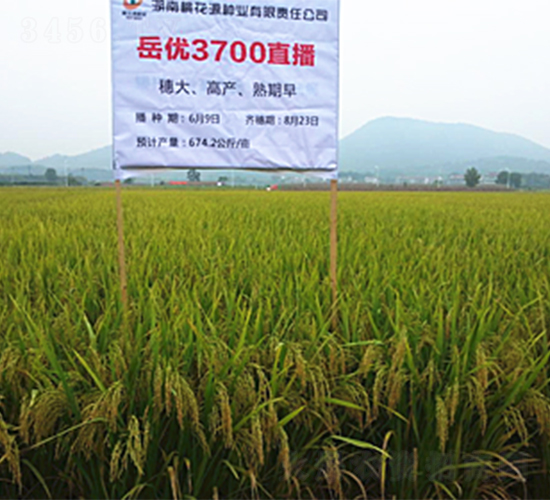 ����3700-ˮ���N��-�һ�Դ