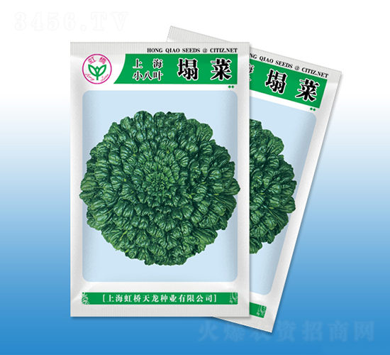 上海小八葉塌菜-塌菜種子-天龍種業