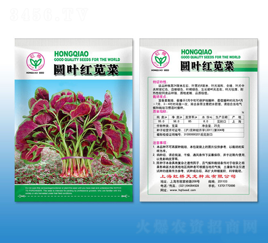 圓葉紅莧菜-莧菜種子-天龍種業(yè)