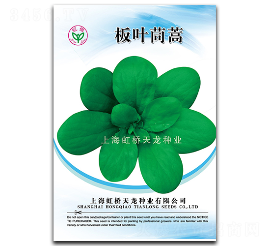 板葉茼蒿-茼蒿種子-天龍種業