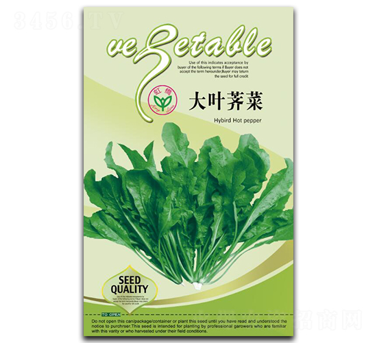 大葉薺菜-薺菜種子-天龍種業(yè)