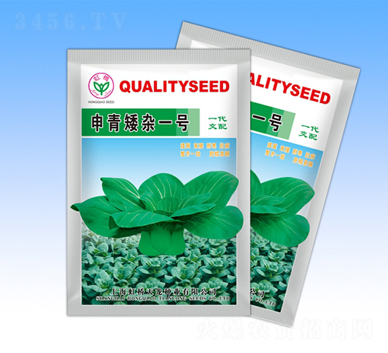申青矮雜一號-青梗菜種子-天龍種業(yè)