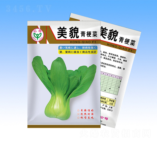 美貌-青梗菜種子-天龍種業