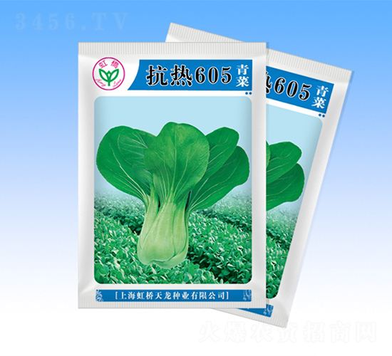 抗熱605-青梗菜種子-天龍種業