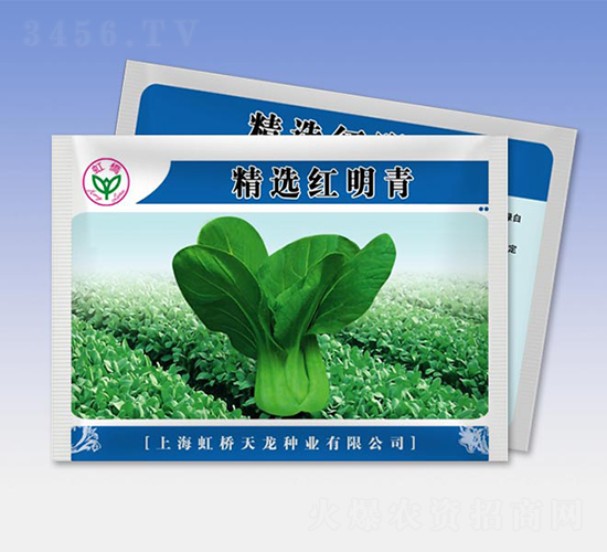 精選紅明青-青梗菜種子-天龍種業