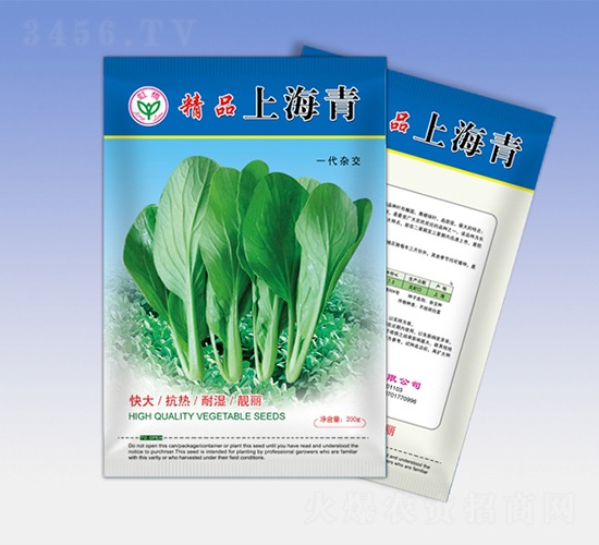 精品上海青-青梗菜種子-天龍種業