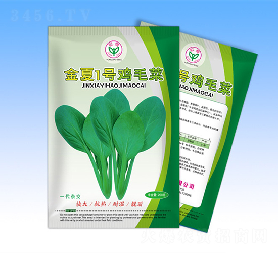 金夏一號-青梗菜種子-天龍種業
