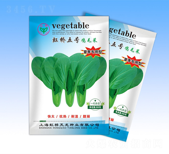 虹橋5號-青梗菜種子-天龍種業