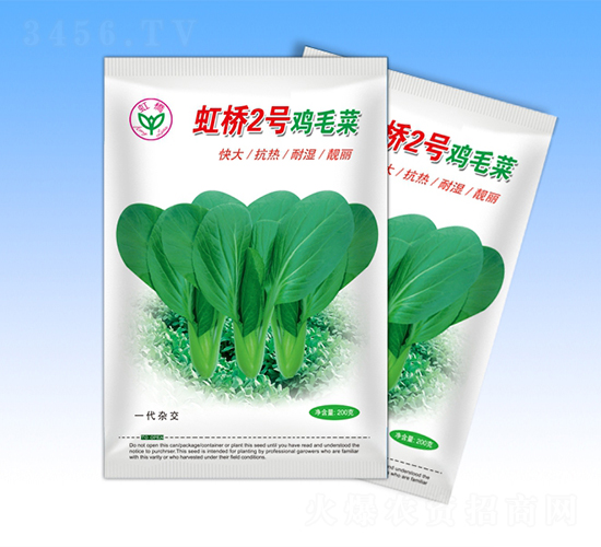 虹橋2號-青梗菜種子-天龍種業