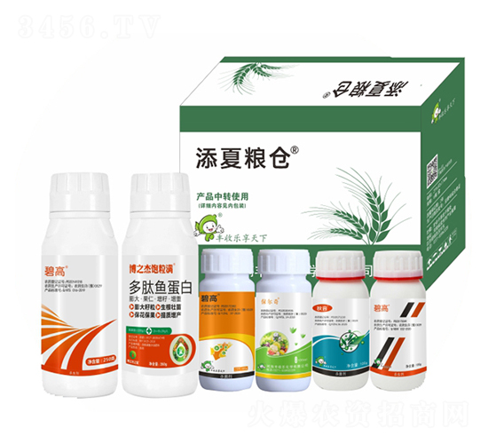 ���ļZ�}(c��ng)��ʮ���أ�-�S�՘�