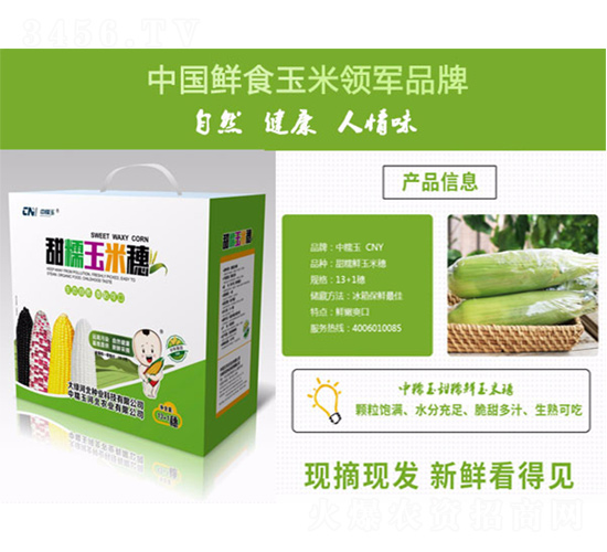 ��Ŵ������-�δ�G