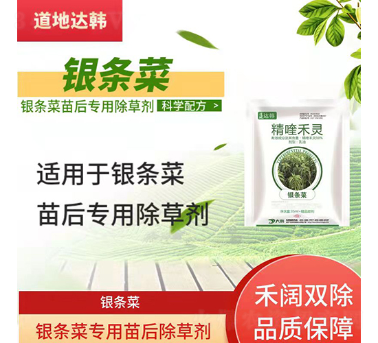 �y�l�ˌ��������݄�-�����_�n