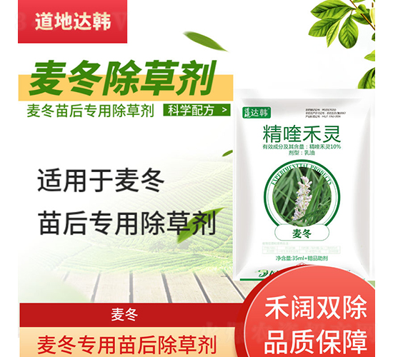 �������������݄�-�����_�n