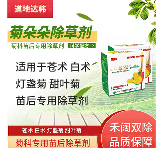 �n�g���g���K�����~�Ռ��ó��݄�-�ն��-�����_�n