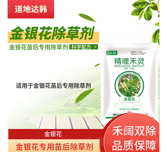 ���y�����������݄�-�����_�n