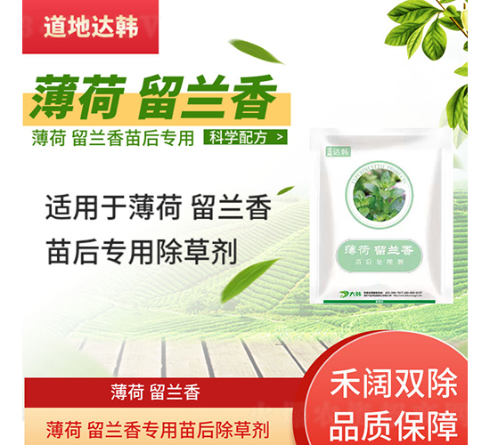 �������m�㌣�������݄�-�����_�n