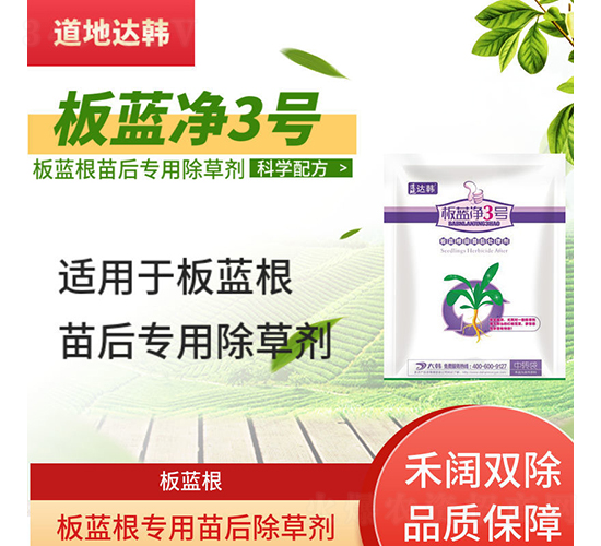 ���{�����������݄�-���{��3̖-�����_�n