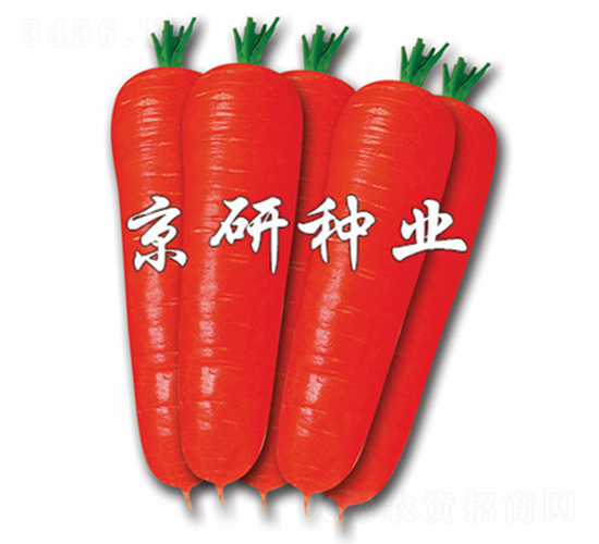 紅芯90-胡蘿卜種子-京研
