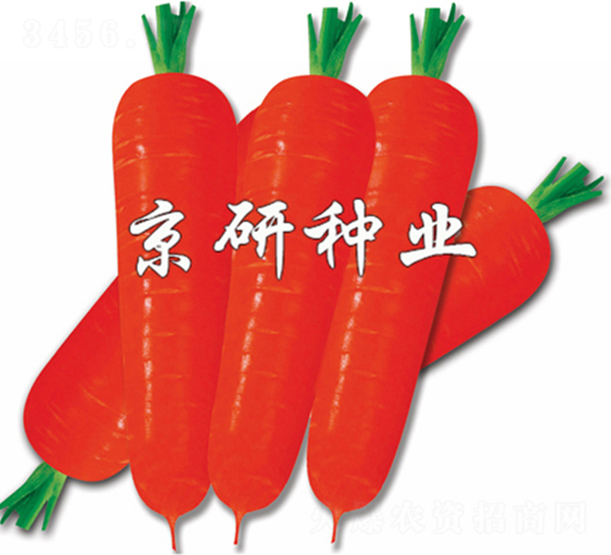 �tо100-���}���N��-����