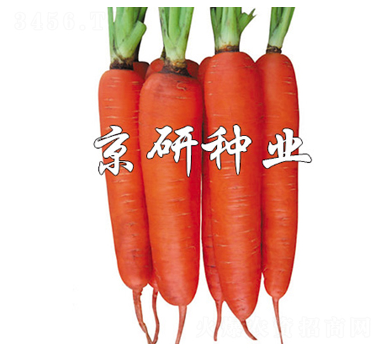 �A�u238-���}���N��-����