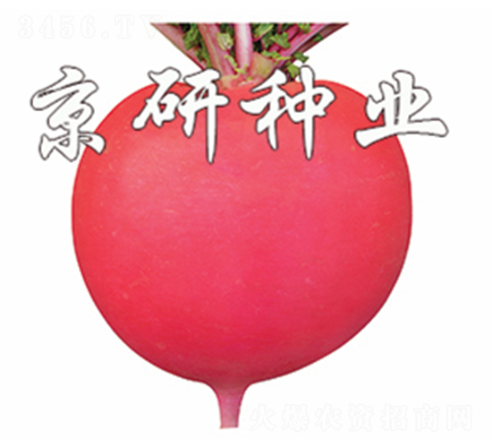 ���t4̖-�}���N��-����