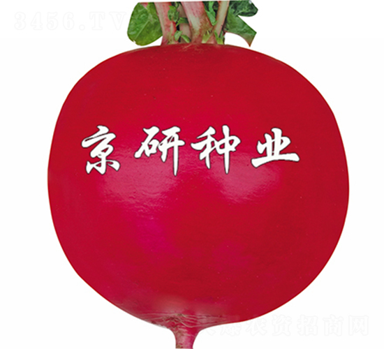 ���t5̖-�}���N��-����