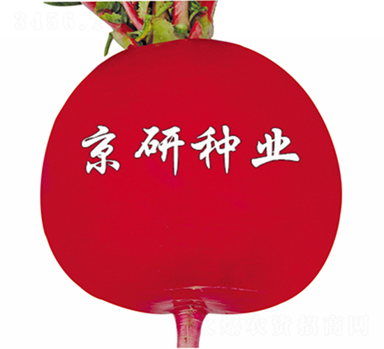 ���t6̖-�}���N��-����