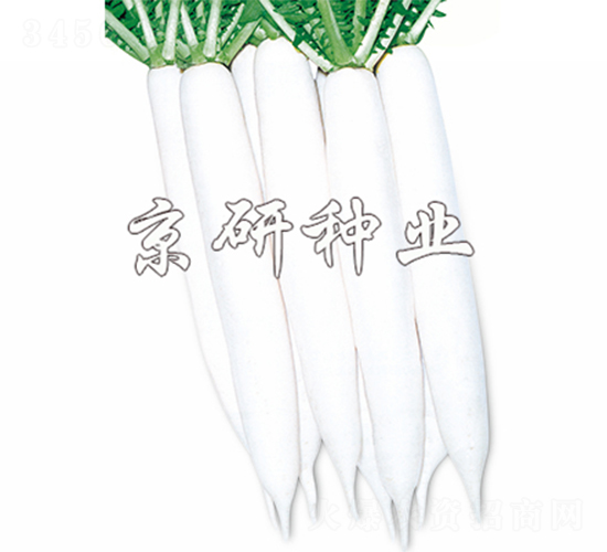 �������-�}���N��-����