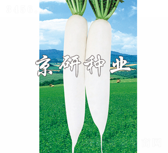 ����1̖-�}���N��-����