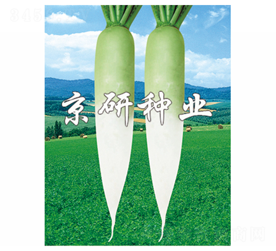 ����2̖-�}���N��-����