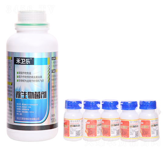 ΢�������-���l�|-�m������