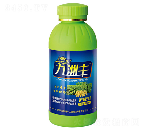 �����߮a������-�����S