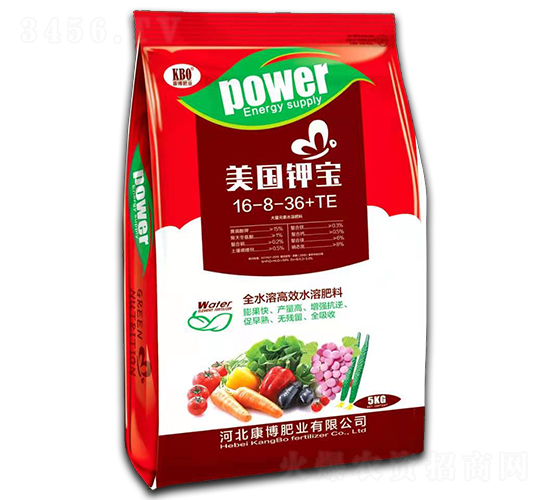 ����⛌�16-8-36+TE-�����ʘI