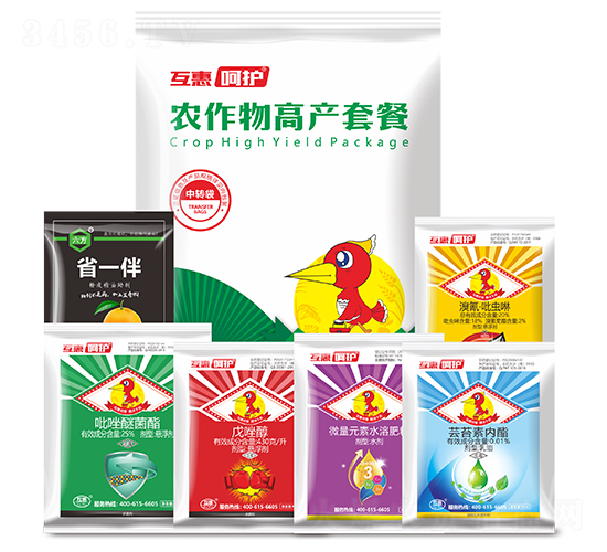 �r����߮a�ײ�-���o-����