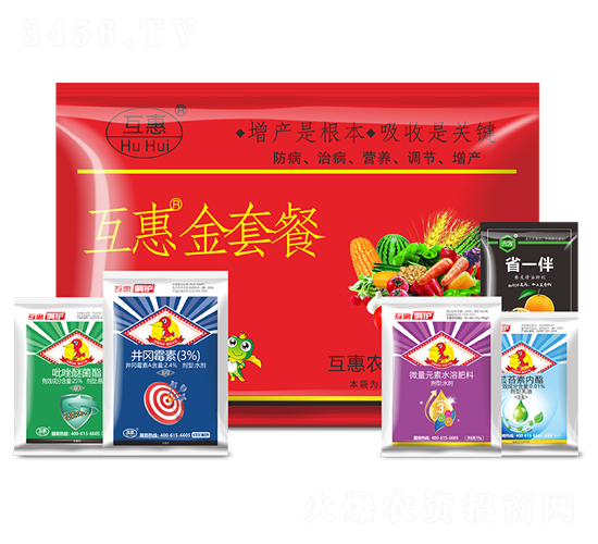 ���ײ�-����