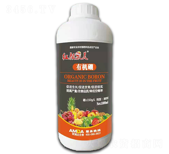 �ЙC��-�t���-��ķ�_